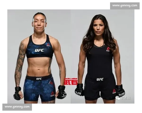 UFC索萨VS经典对决回顾与技术解析及未来冠军之路展望